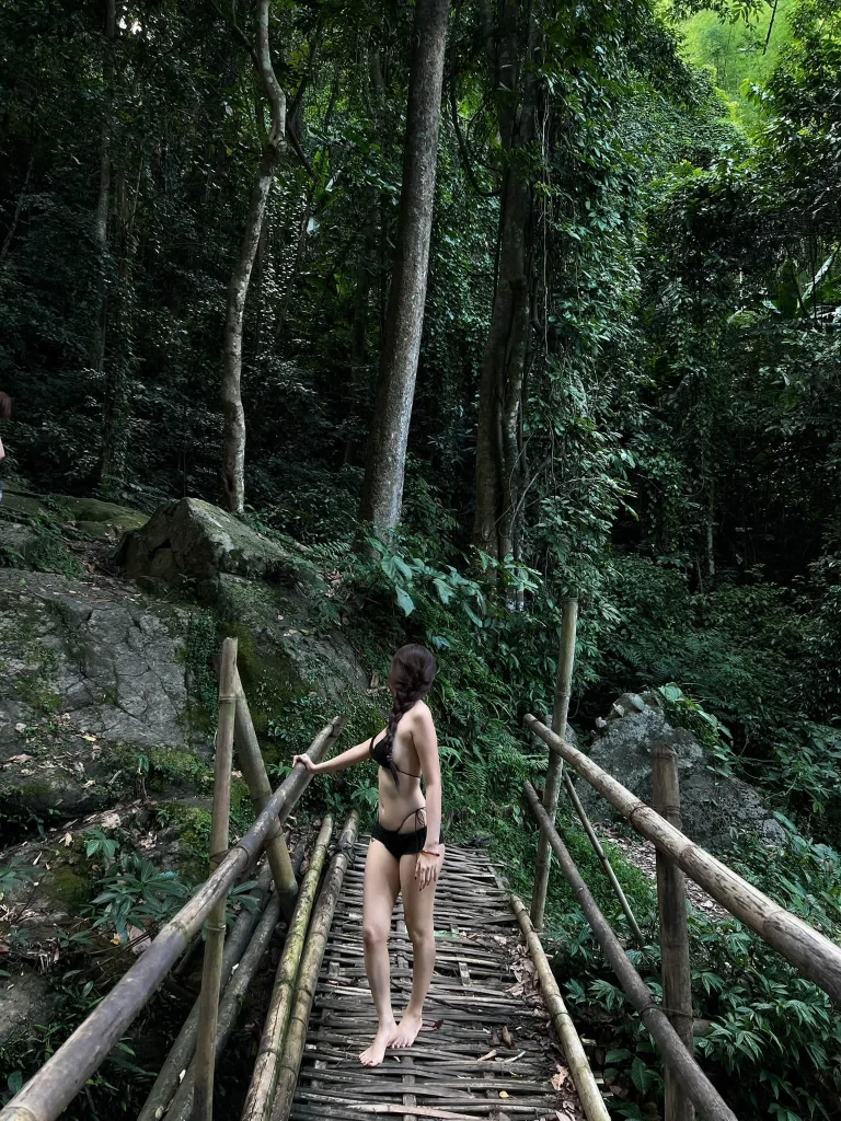 🌧️🌳⛰️ รูปที่ 5
